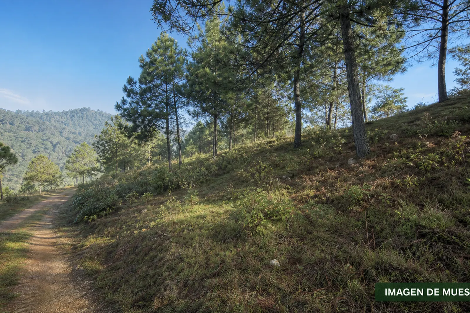 Terreno con vista a la Sierra