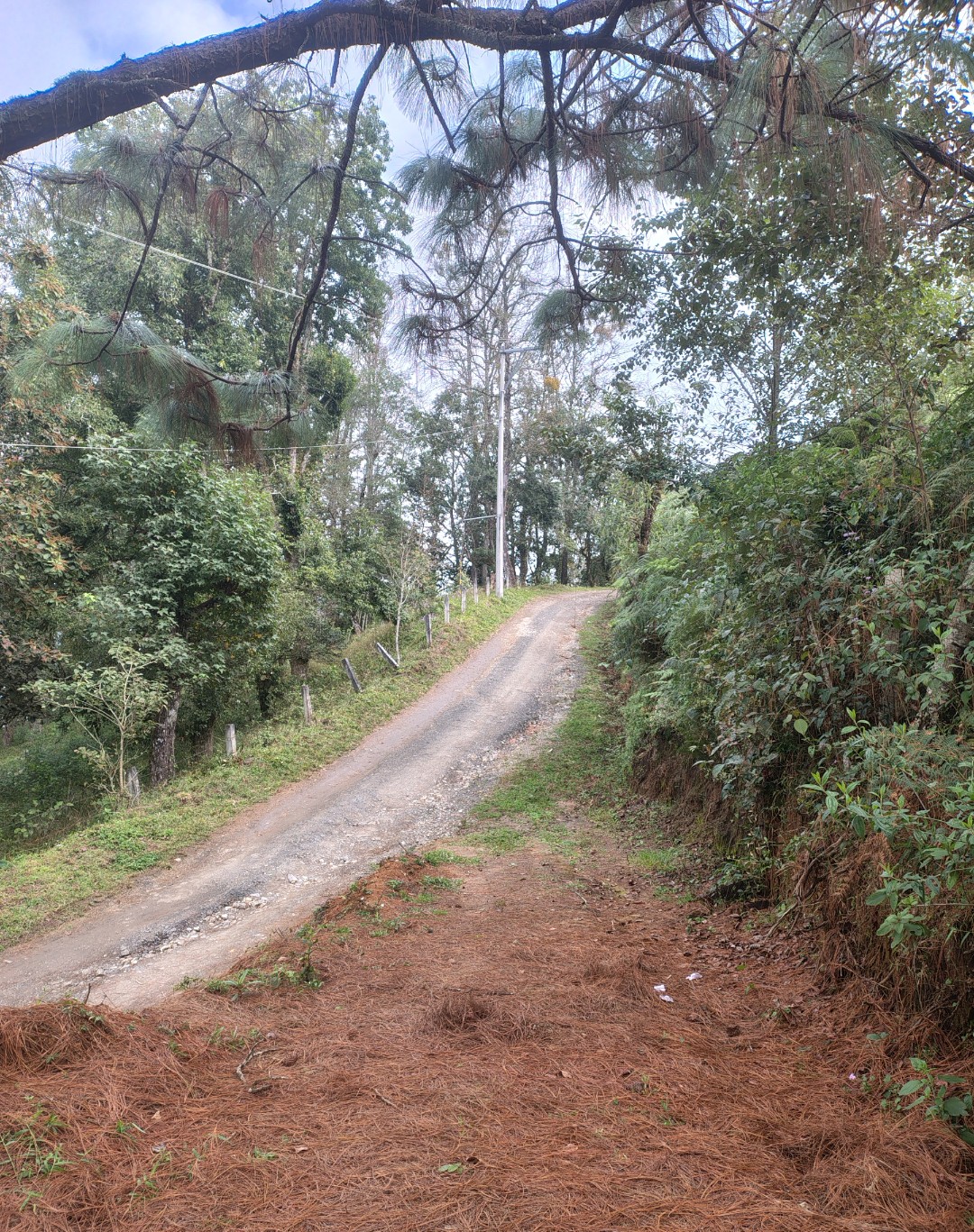 Lotes campestres en Xolango