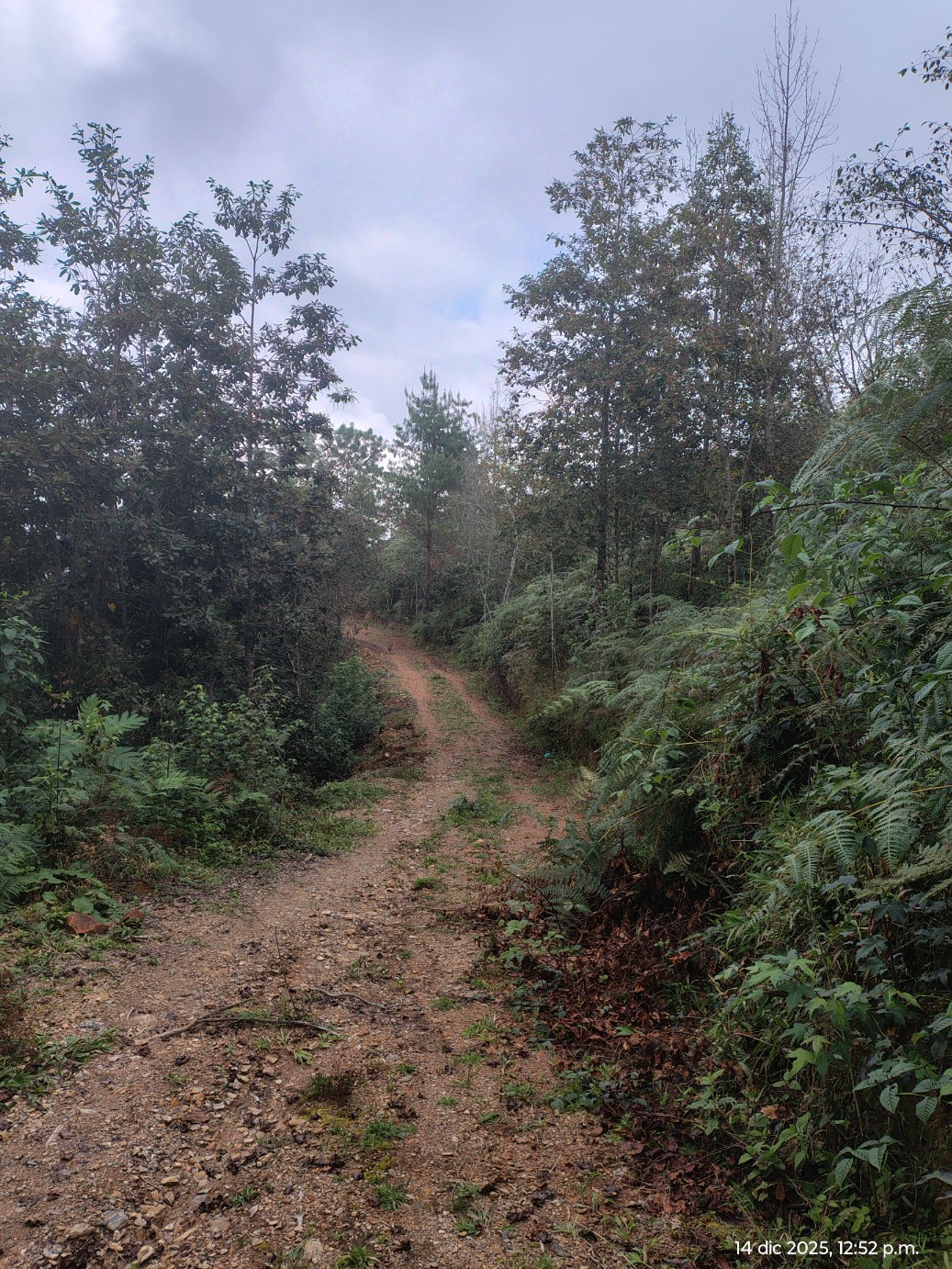 Vista 3 de Lotes campestres en Xolango