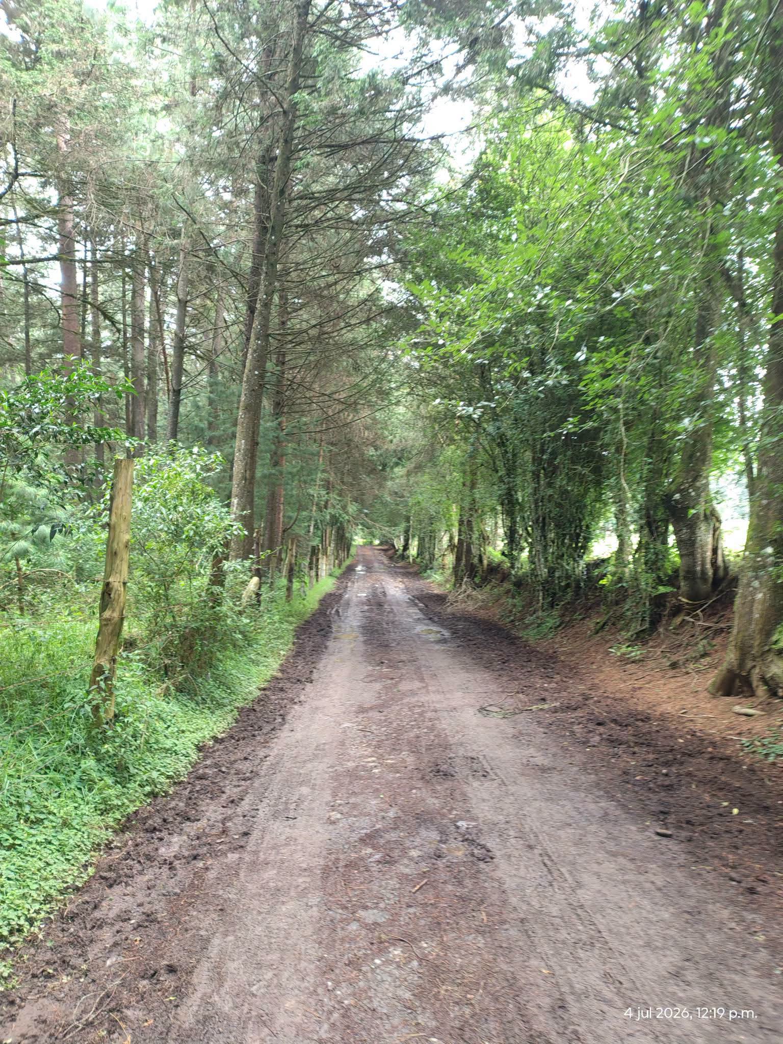 Increible Terreno de 2.8 Hectareas con Bosque