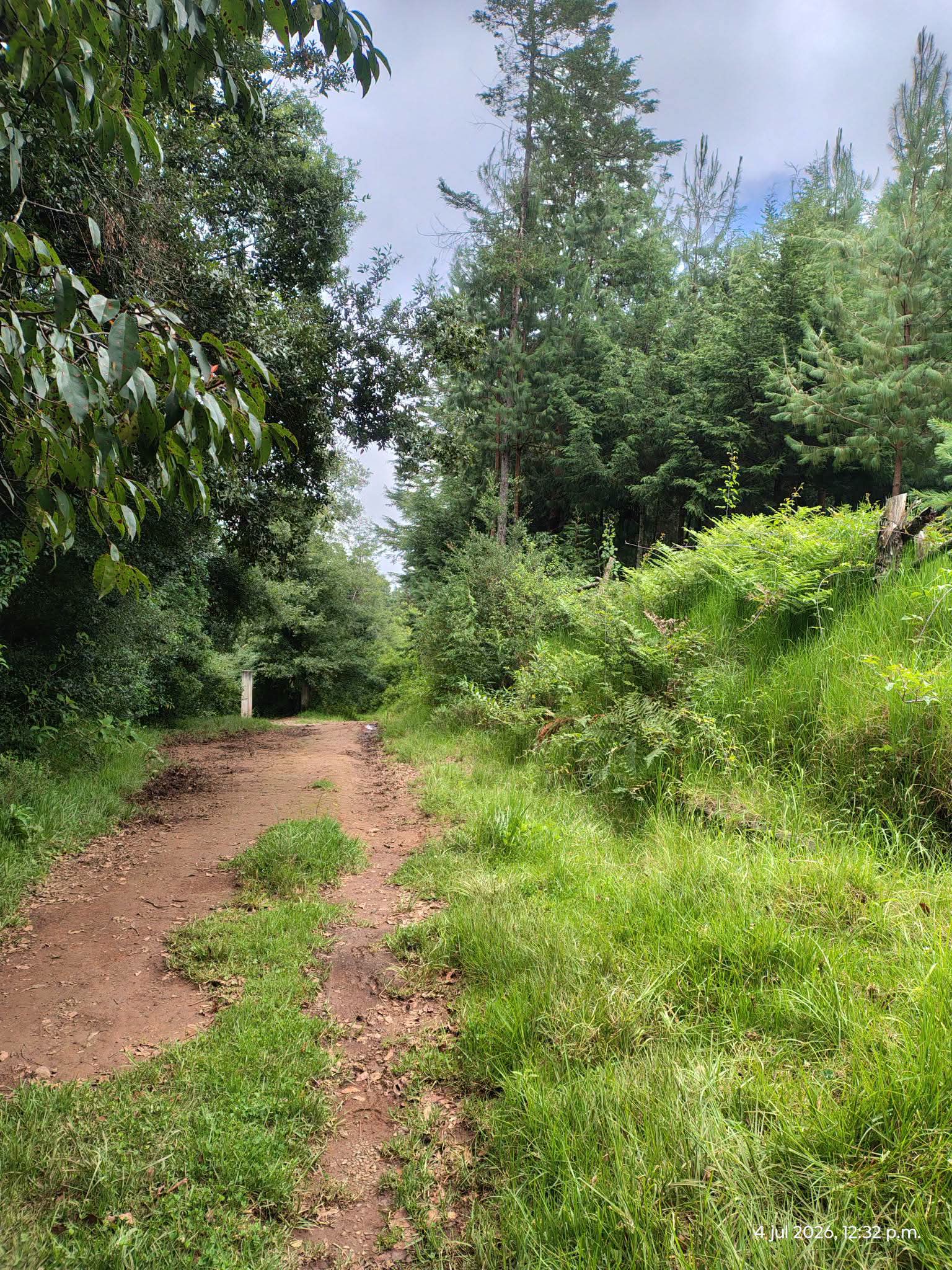 Vista 6 de Increible Terreno de 2.8 Hectareas con Bosque