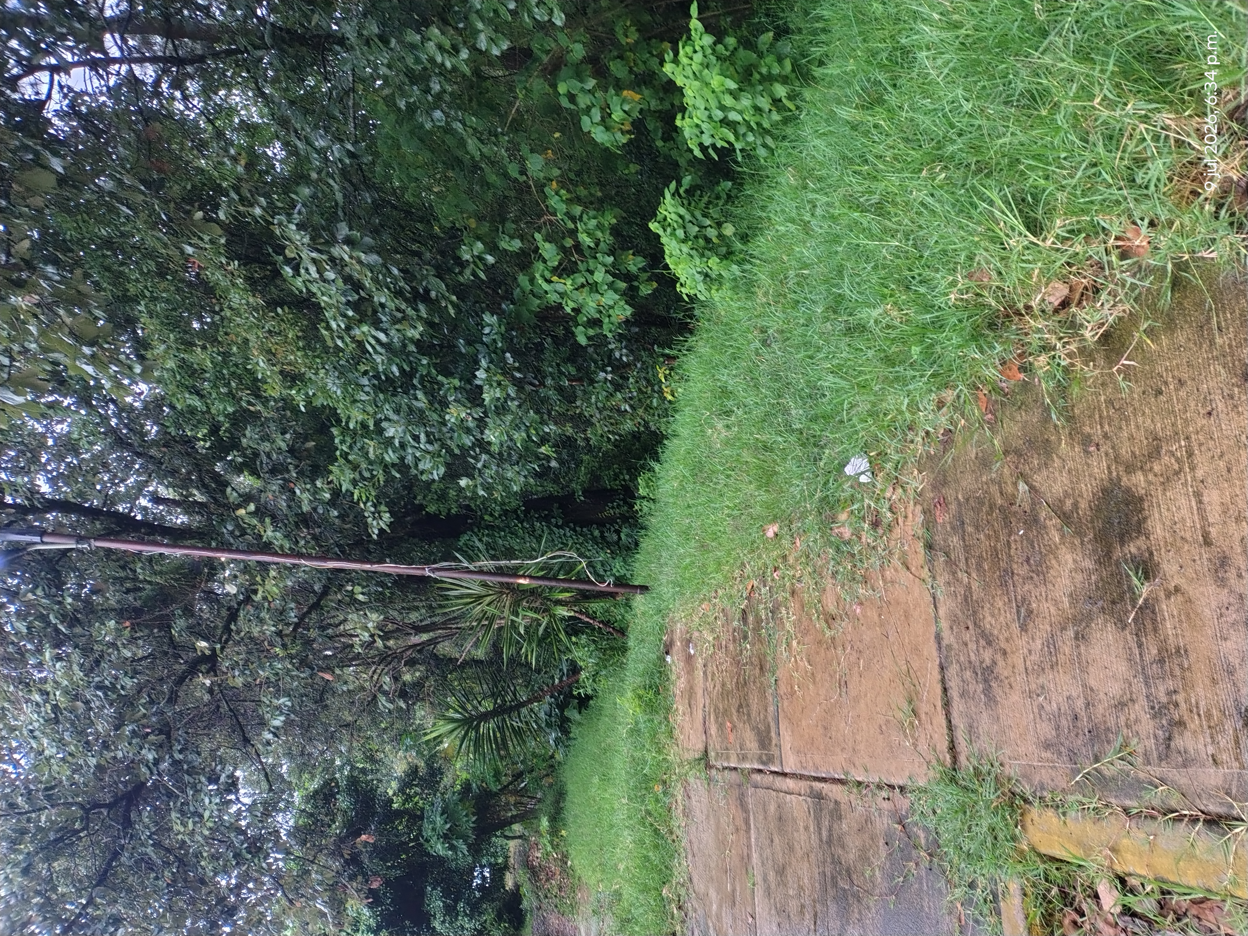 Lote en la col fetse