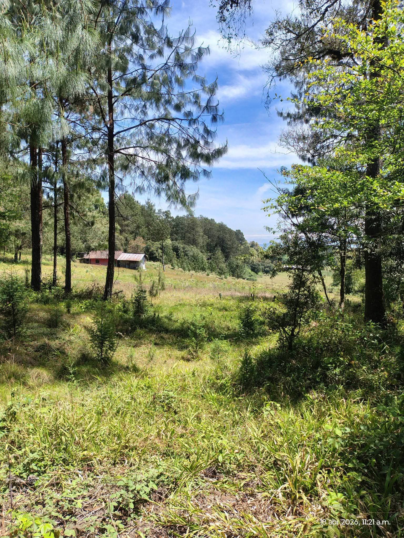 Precioso terreno con bosque y rio en Venta Chica