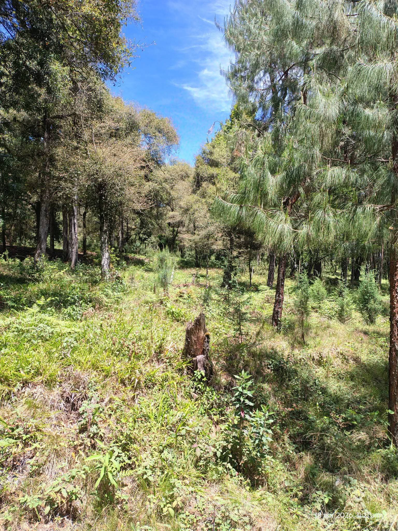 Vista 2 de Precioso terreno con bosque y rio en Venta Chica