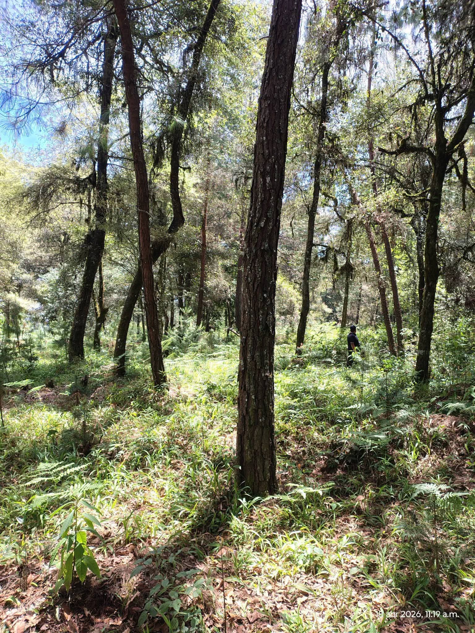 Vista 4 de Precioso terreno con bosque y rio en Venta Chica