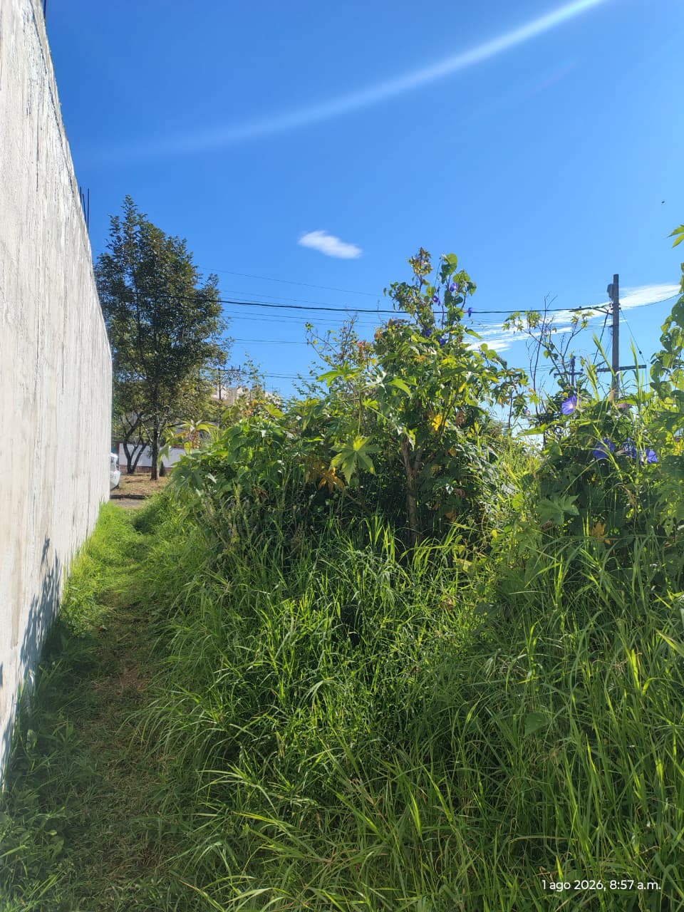 Vista 5 de Lote en Palpa 1